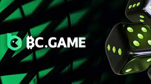 Complete Guide to Withdrawals on BC Game